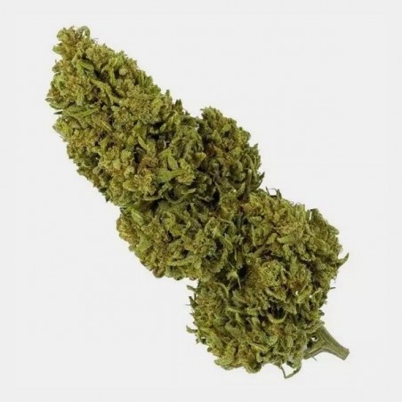 Flores CBD Outdoor + Necessaire Antiodor GB - GB The Green Brand