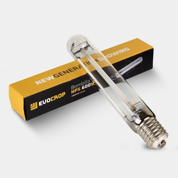 Comprar Lamarck 600W Kit eletrônico regulamentado