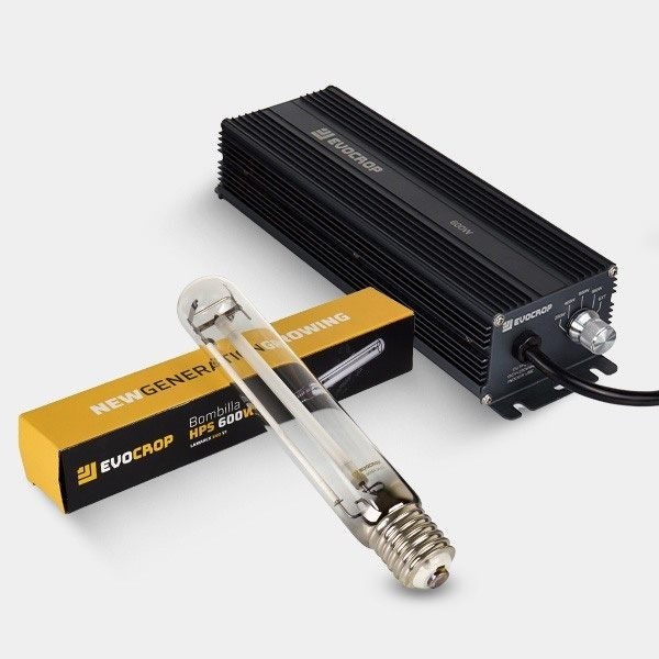 Comprar Lamarck 600W Kit eletrônico regulamentado
