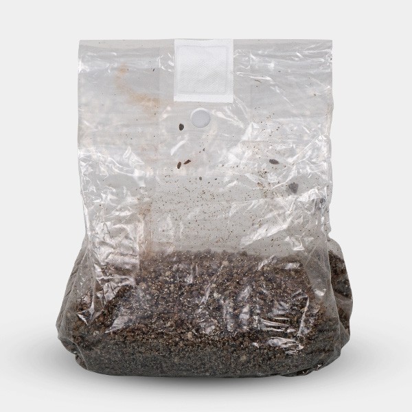 View Saco de Cultivo para Cogumelos - GB The Green Brand