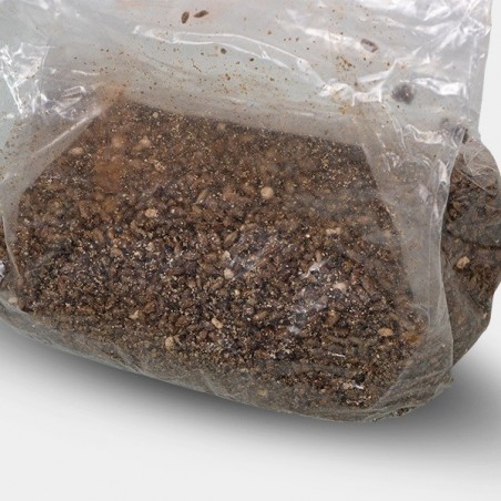 Saco de Cultivo para Cogumelos - GB The Green Brand
