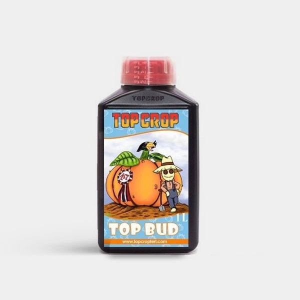 top bud 3