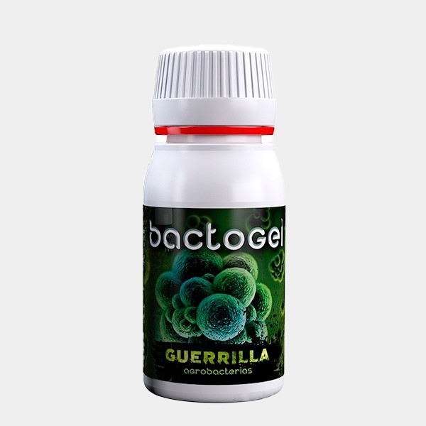 Bactogel polímeros + bacterias