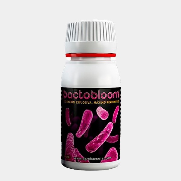 Bactobloom Floração