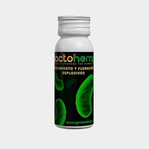 Bactohemp crescimento
