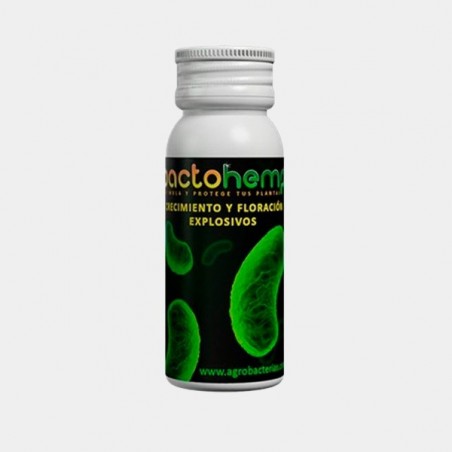 Bactohemp crescimento