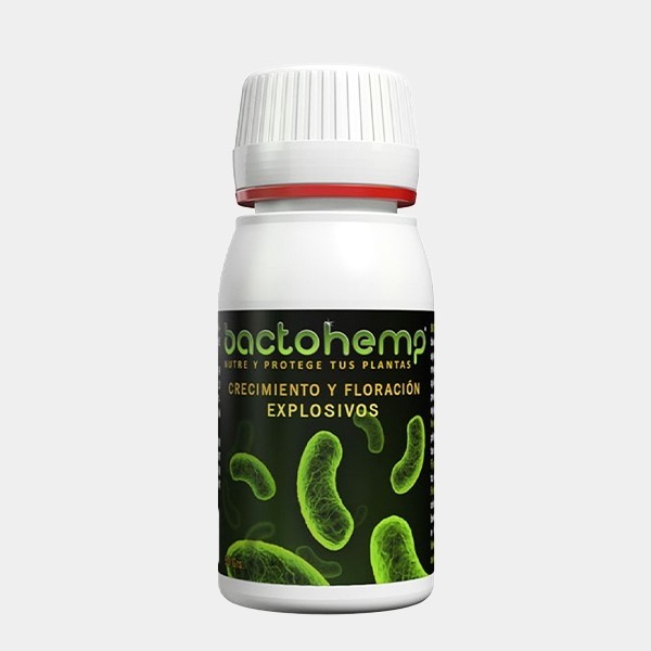 Bactohemp crescimento