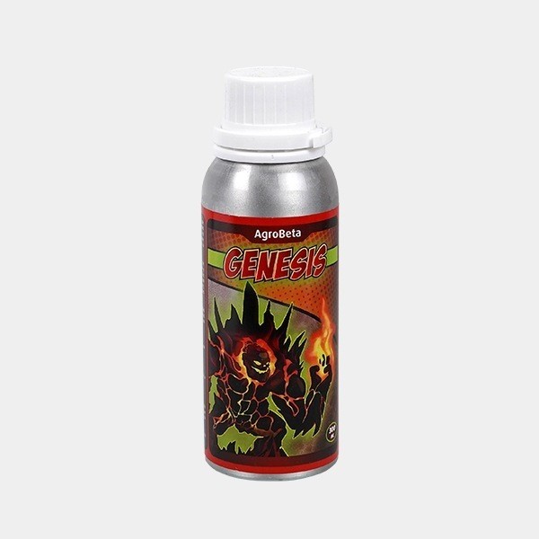 Genesis
