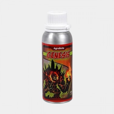 Gênesis