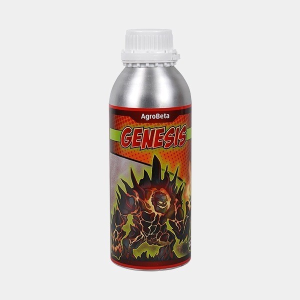 Genesis
