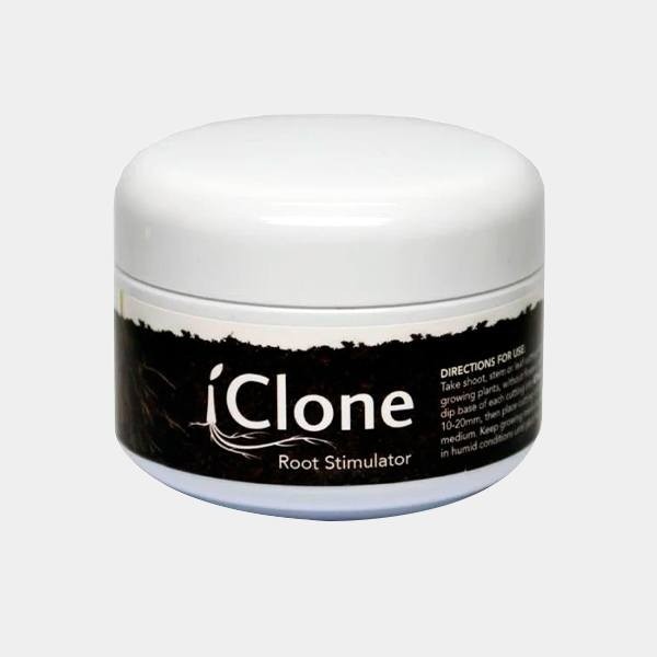gel de iclone