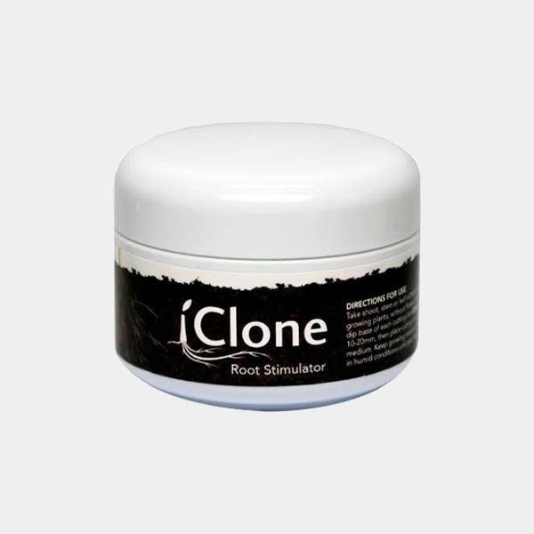 gel de iclone