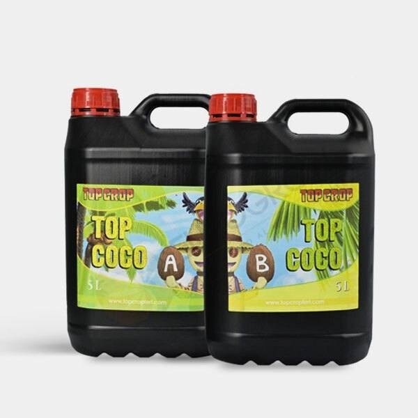 Top Coco A+B