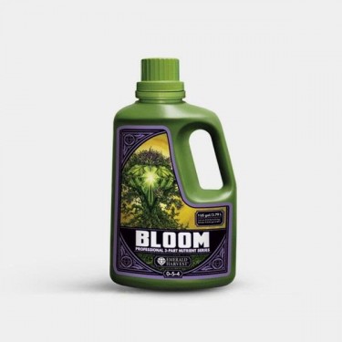 Bloom Prof 3 Partes