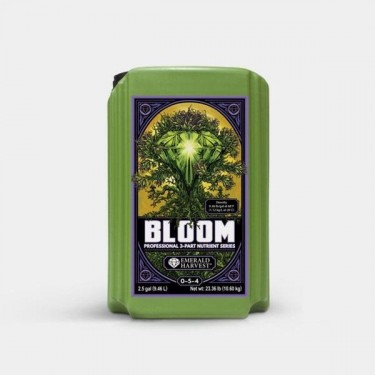 Bloom Prof 3 Partes
