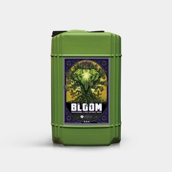 Bloom Prof 3 Partes