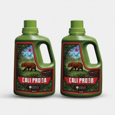 Cali Pro Bloom A+B