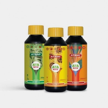 Comprar ATA NRG Triangle Pack Atami - GB The Green Brand