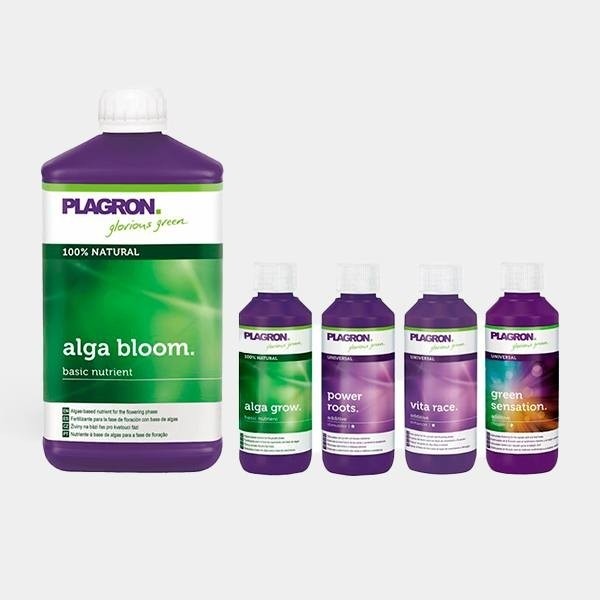 Top Grow Box Bio Plagron Biológico Kit - GB The Green Brand