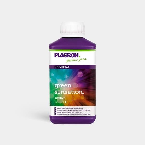 Green Sensation 500 ml