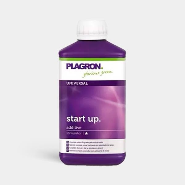 Start Up