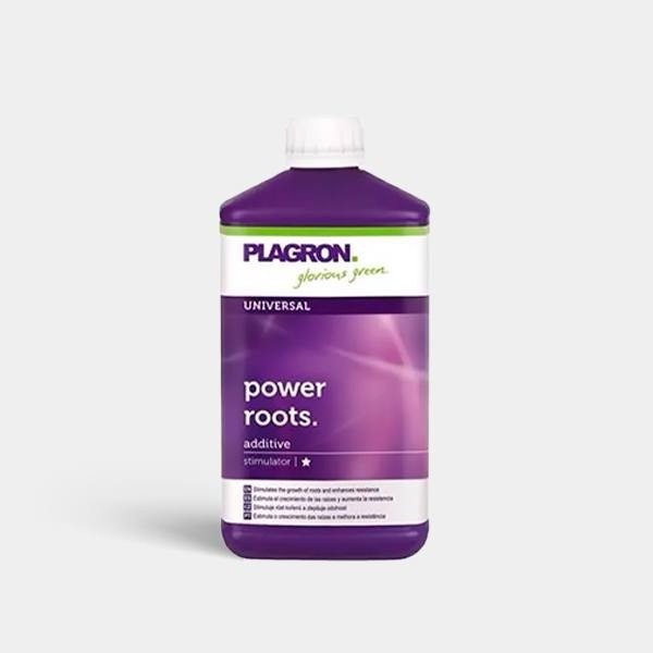 Power Roots