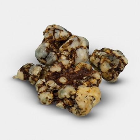 High Hawaiians 🌸 Trufas com Maior Quantidade de Psilocibina