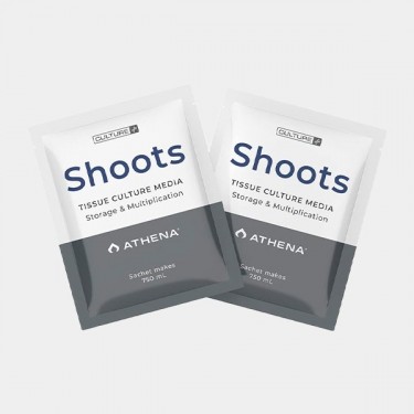 Athena Shoots Culture Media - GB The Green Brand