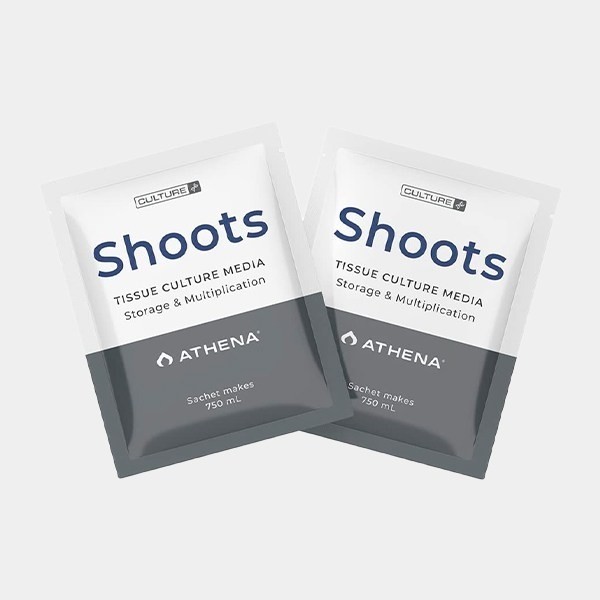 View Athena Shoots Culture Media - GB The Green Brand