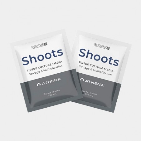 Athena Shoots Culture Media - GB The Green Brand