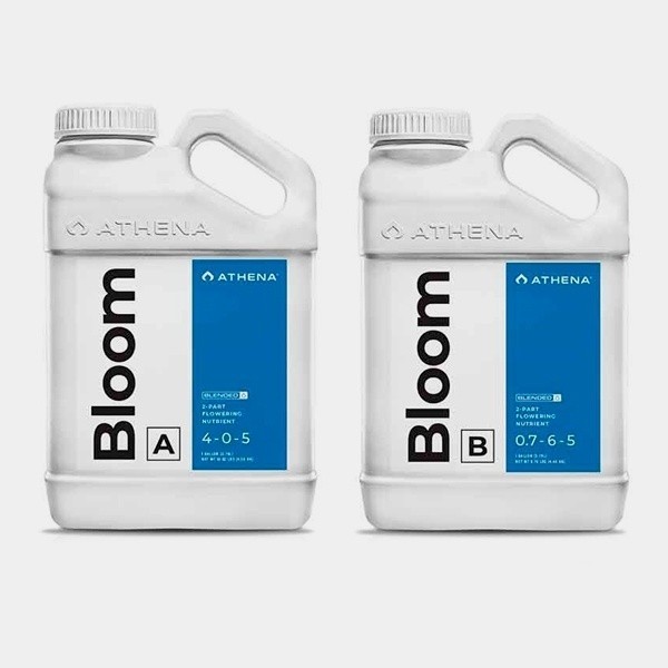 View Athena Bloom A+B - GB The Green Brand