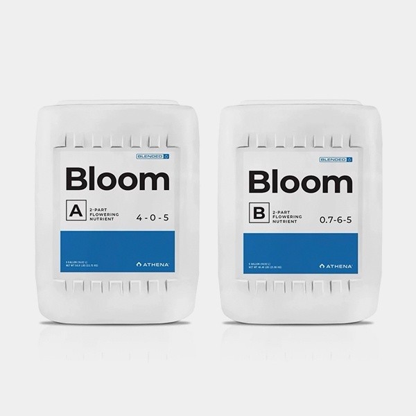 Athena Bloom A+B - GB The Green Brand