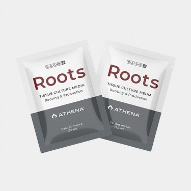 Athena Roots Culture Media para Enraizar - GB The Green Brand