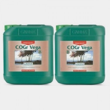 Cogr Vega A+B Crescimento do Coconut - GB The Green Brand