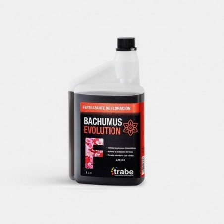 Evolução de Bachumo F abono Bio de Trabe - GB The Green Brand