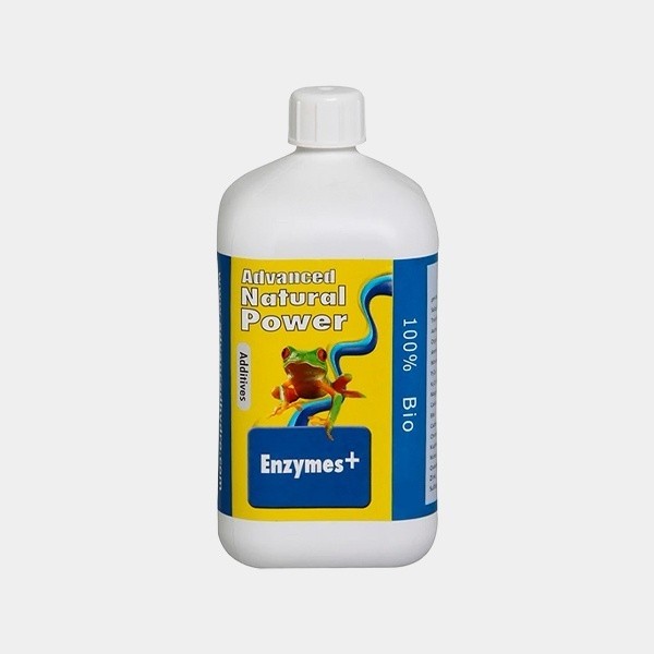 Enzymes+