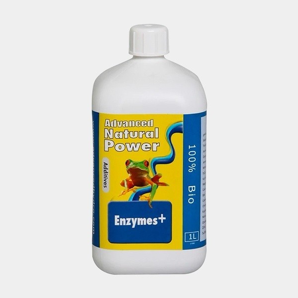 Enzymes+