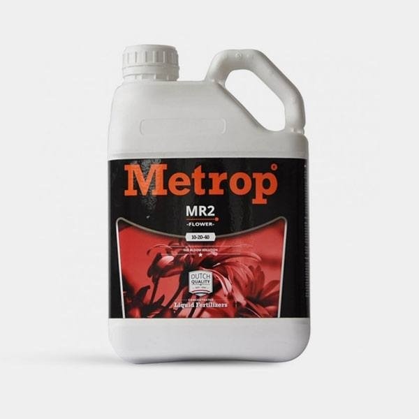 MR-2 Floração