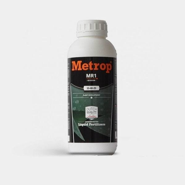 MR-1 Crescimento