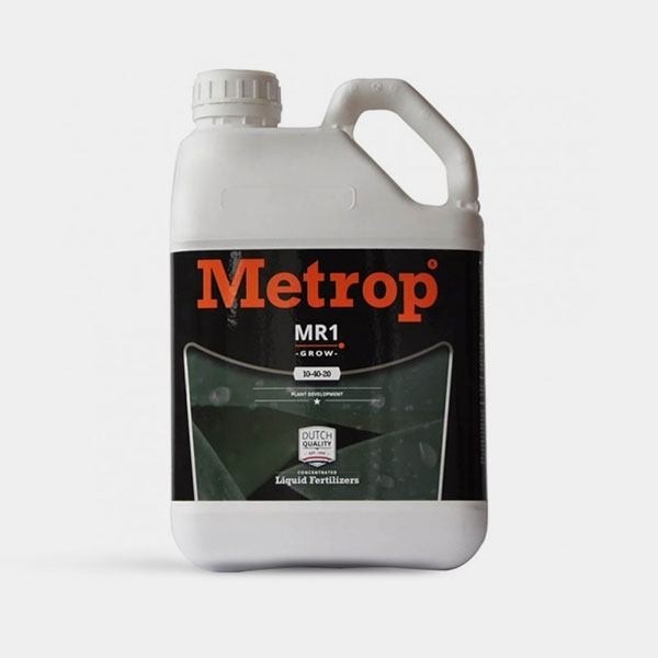 MR-1 Crescimento