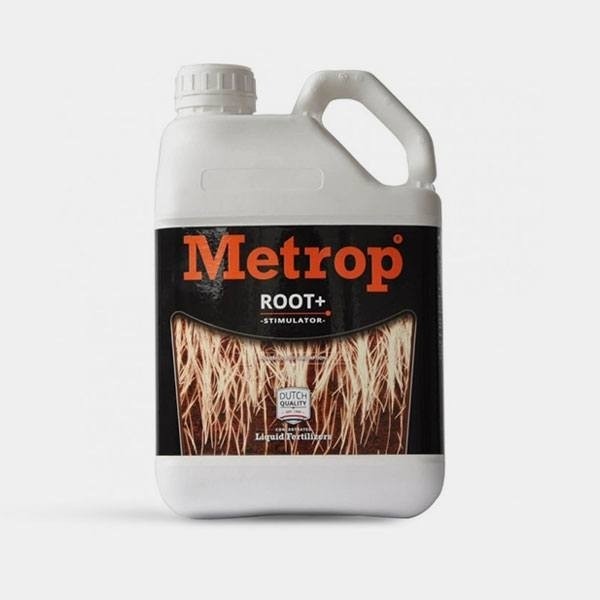 Root+