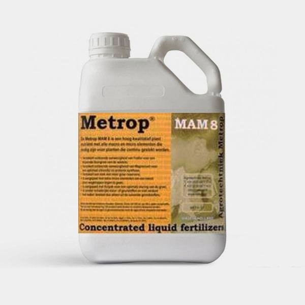 MaM 8 plantas madre