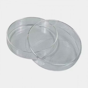 Placa de Petri para Cultivo de Fungos - GB The Green Brand