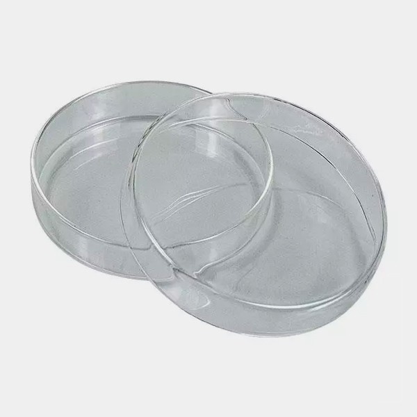 View Placa de Petri para Cultivo de Fungos - GB The Green Brand