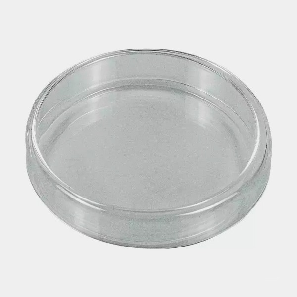 Placa de Petri para Cultivo de Fungos - GB The Green Brand