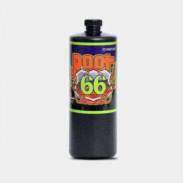 Root 66