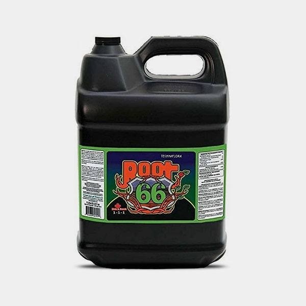 Root 66