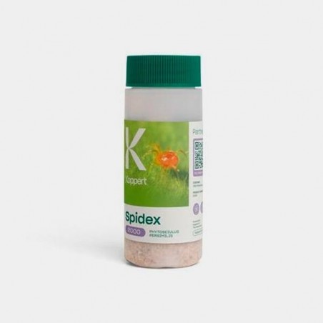 Fisioterapia Persimilis versus aranha vermelha - GB The Green Brand