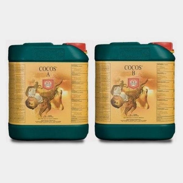 Coqueiros domésticos A+B Base de fertilizante de jardim - GB The Green Brand