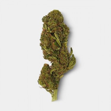 Flores CBD GB 'Los Santos Kush' - GB The Green Brand